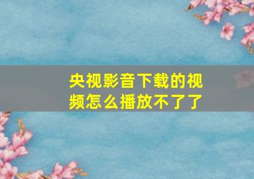 央视影音下载的视频怎么播放不了了