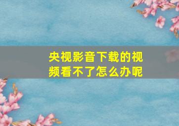 央视影音下载的视频看不了怎么办呢