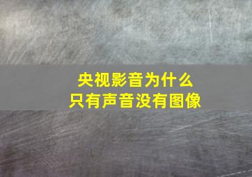 央视影音为什么只有声音没有图像