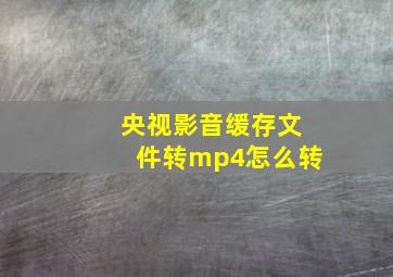 央视影音缓存文件转mp4怎么转