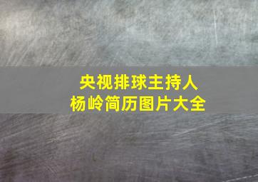 央视排球主持人杨岭简历图片大全