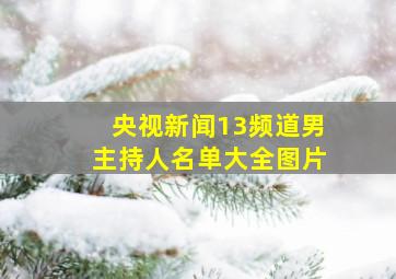 央视新闻13频道男主持人名单大全图片