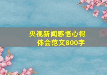 央视新闻感悟心得体会范文800字