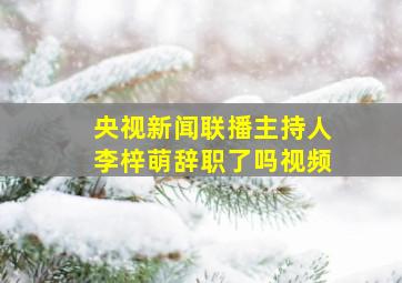 央视新闻联播主持人李梓萌辞职了吗视频