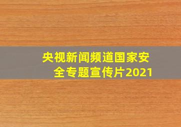 央视新闻频道国家安全专题宣传片2021