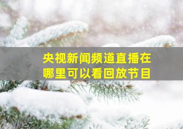 央视新闻频道直播在哪里可以看回放节目