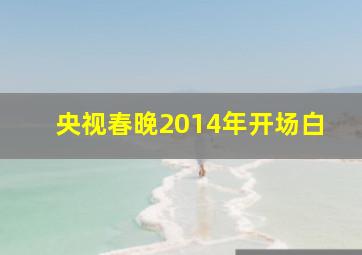 央视春晚2014年开场白