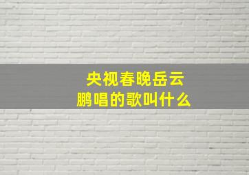 央视春晚岳云鹏唱的歌叫什么