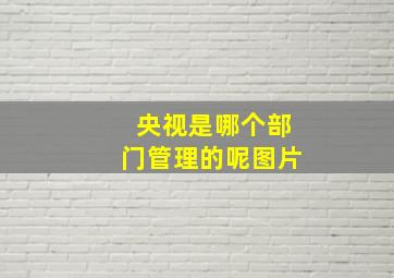 央视是哪个部门管理的呢图片