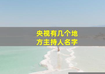 央视有几个地方主持人名字