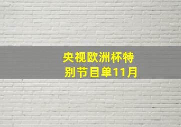 央视欧洲杯特别节目单11月