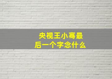 央视王小骞最后一个字念什么