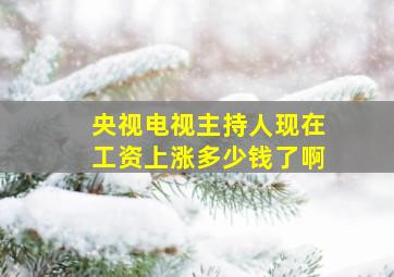 央视电视主持人现在工资上涨多少钱了啊