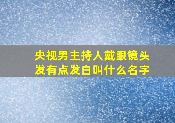 央视男主持人戴眼镜头发有点发白叫什么名字