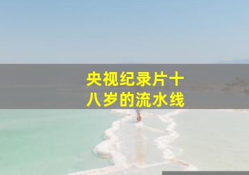 央视纪录片十八岁的流水线