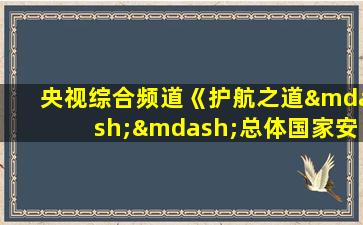 央视综合频道《护航之道——总体国家安全观纵横》节目