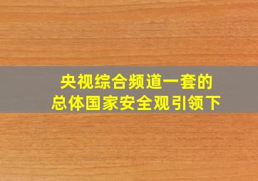 央视综合频道一套的总体国家安全观引领下