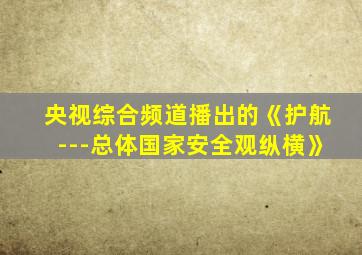 央视综合频道播出的《护航---总体国家安全观纵横》