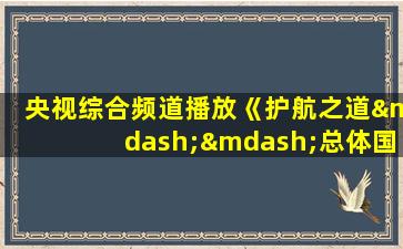 央视综合频道播放《护航之道——总体国家安全观纵横》