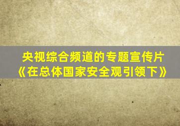 央视综合频道的专题宣传片《在总体国家安全观引领下》