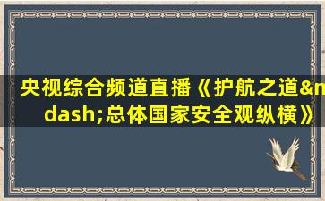 央视综合频道直播《护航之道—总体国家安全观纵横》