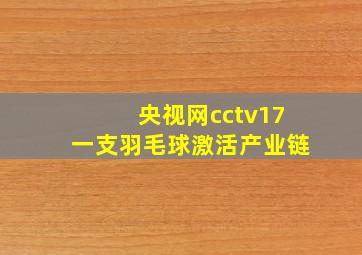 央视网cctv17一支羽毛球激活产业链