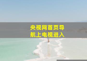 央视网首页导航上电视进入