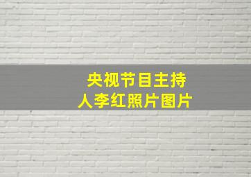 央视节目主持人李红照片图片