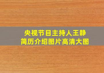 央视节目主持人王静简历介绍图片高清大图