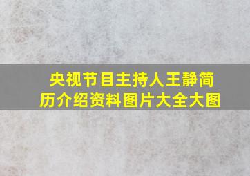 央视节目主持人王静简历介绍资料图片大全大图