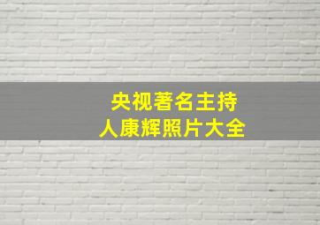 央视著名主持人康辉照片大全