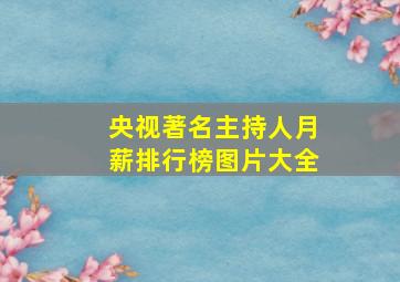 央视著名主持人月薪排行榜图片大全