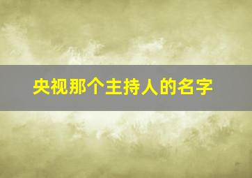 央视那个主持人的名字