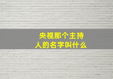 央视那个主持人的名字叫什么