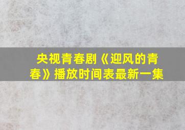 央视青春剧《迎风的青春》播放时间表最新一集