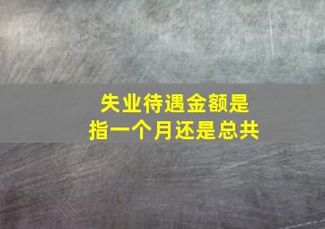 失业待遇金额是指一个月还是总共