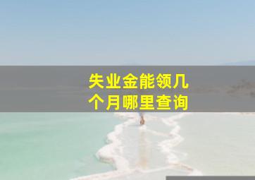 失业金能领几个月哪里查询