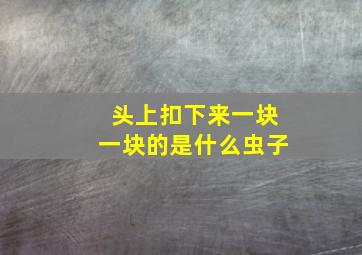 头上扣下来一块一块的是什么虫子