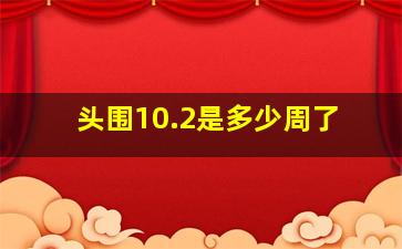 头围10.2是多少周了