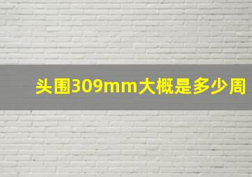 头围309mm大概是多少周