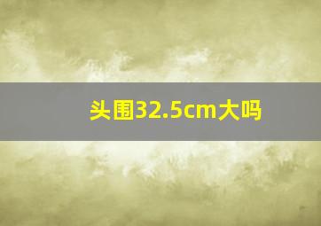 头围32.5cm大吗