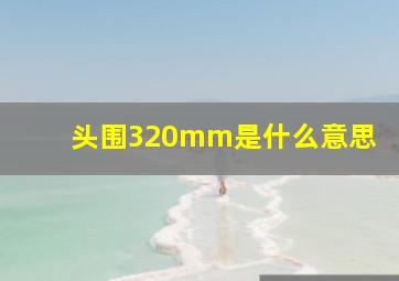 头围320mm是什么意思