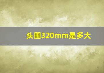 头围320mm是多大