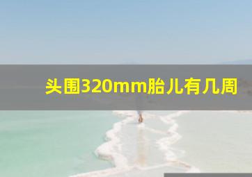 头围320mm胎儿有几周