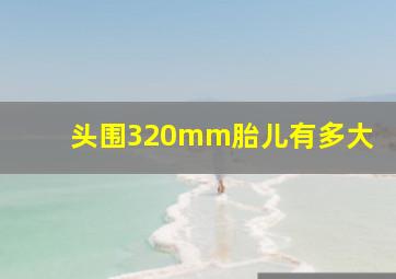 头围320mm胎儿有多大