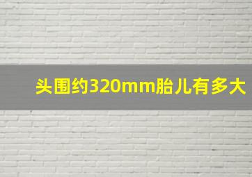 头围约320mm胎儿有多大