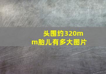 头围约320mm胎儿有多大图片