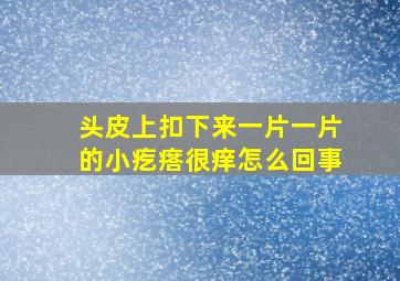 头皮上扣下来一片一片的小疙瘩很痒怎么回事