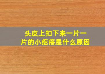 头皮上扣下来一片一片的小疙瘩是什么原因