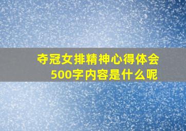 夺冠女排精神心得体会500字内容是什么呢